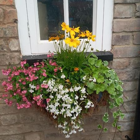 Delighful Self Catering In The Heart Of Glastonbury Exterior foto