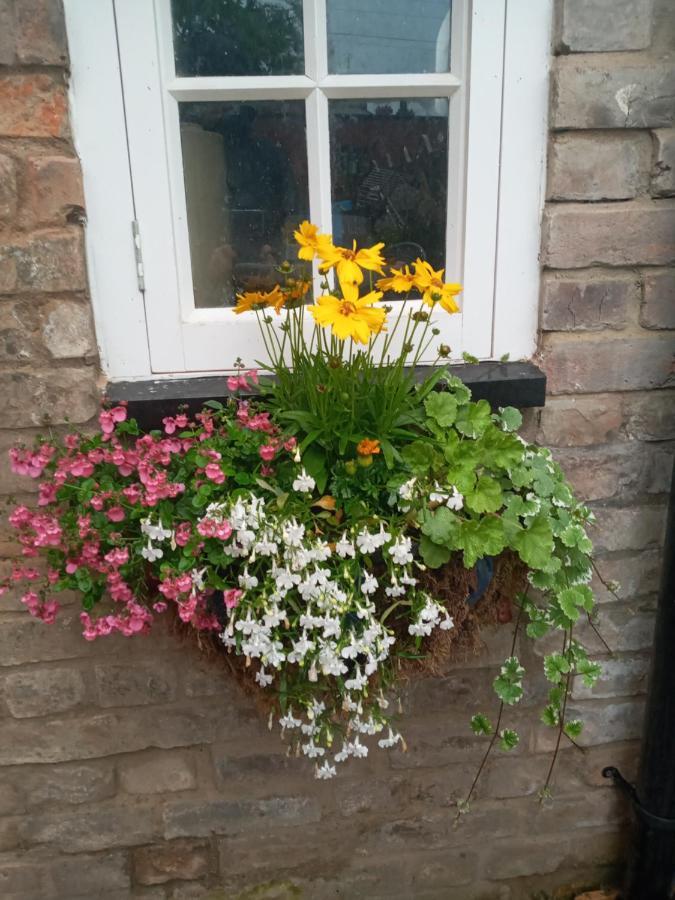 Delighful Self Catering In The Heart Of Glastonbury Exterior foto